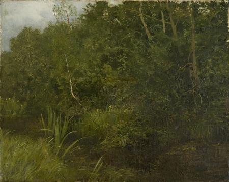 Landscape with a pond, HOFFMANN, Hans